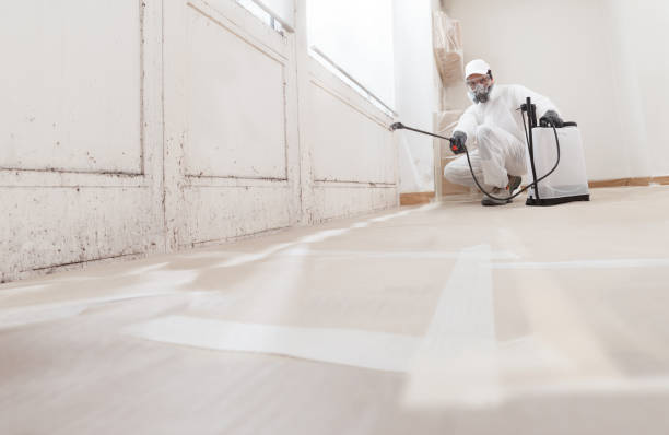 24/7 Emergency Black Mold Removal experts in Franklinton, NC