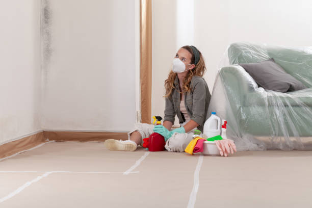 Reliable Black Mold Removal contractor in Franklinton, NC by WQB Mold Removal